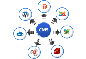 cms-content-management-system